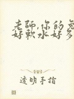 老师,你的兔子好软水好多封面