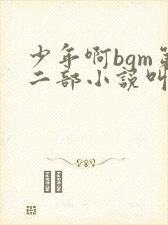 少年啊bgm第二部小说叫什么