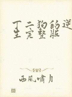 丁二狗的逆袭人生完整版