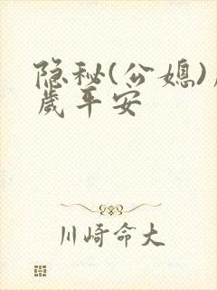 隐秘(公媳)岁岁平安封面