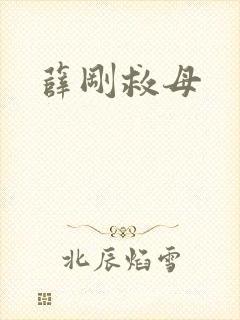 薛刚救母