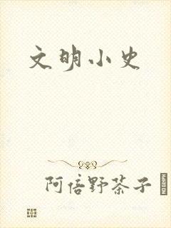 文明小史