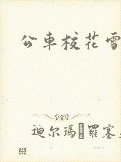 公车校花雪柔h