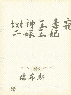 txt神王毒宠二嫁王妃