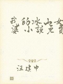我的冰山女神老婆 小说免费