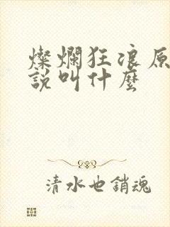 灿烂狂浪原著小说叫什么封面