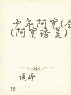 少年阿宾(全)(阿宾琇美)番外+大结局小说封面