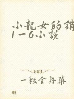 小龙女的销魂夜1一6小说