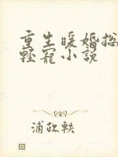 重生暖婚总裁轻轻宠小说