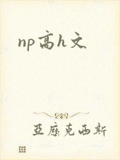 np高h文封面
