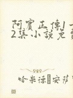 阿宾正传1一72集小说免费阅读