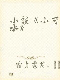 小说《小可的奶水》
