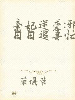 弃妃逆袭:邪王日日追妻忙小说阅读