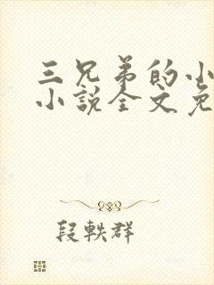 三兄弟的小媳妇小说全文免费阅读