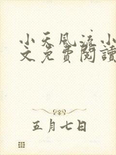 小天风流小说全文免费阅读无弹窗下