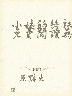小姨的丝袜小说免费阅读无弹窗封面
