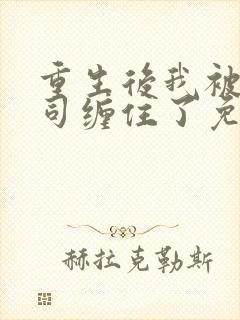 重生后我被前上司缠住了免费阅读封面
