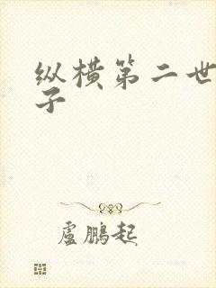 纵横第二世界宽子封面