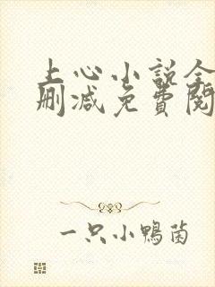 上心小说全文无删减免费阅读