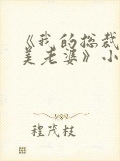 《我的总裁白富美老婆》小说