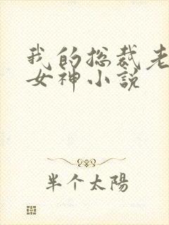 我的总裁老婆是女神小说封面