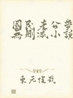 国民老公带回家无删减小说