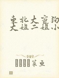 东北大灶狗儿娘大姐二姐小说