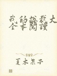 我的总裁大老婆全本阅读