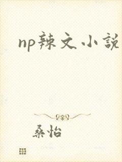 np辣文小说