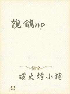 觊觎np