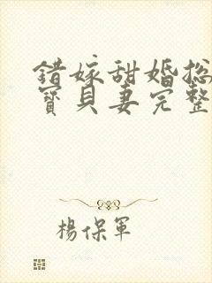 错嫁甜婚总裁的宝贝妻完整小说