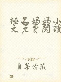 极品妈妈小说全文免费阅读