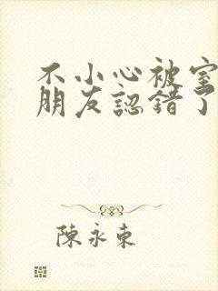不小心被室友男朋友认错了宁笑阿温作者封面