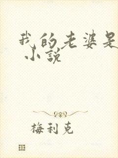 我的老婆是校花 小说