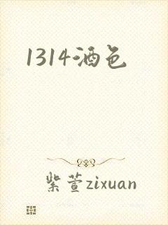 1314酒色