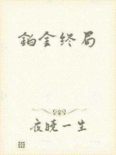 铂金终局封面