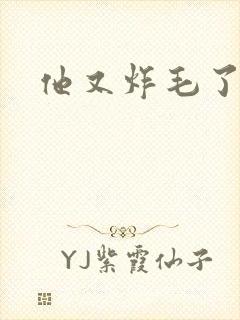他又炸毛了