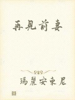 再见前妻