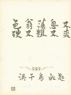 色翁荡息又大又硬又粗又爽