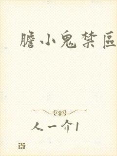 胆小鬼禁区封面