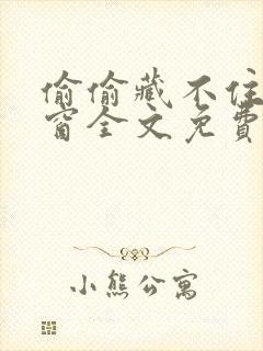 偷偷藏不住无弹窗全文免费阅读