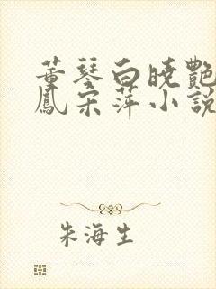 董琴白晓艳苏美凤宋萍小说结局