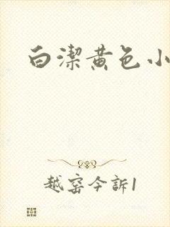 白洁黄色小说