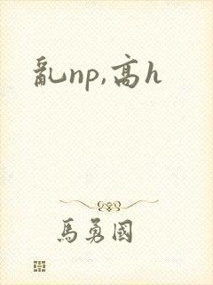 乱np,高h