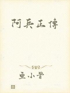 阿兵正传封面