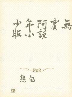 少年阿宾无删减版小说