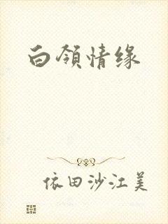 白领情缘