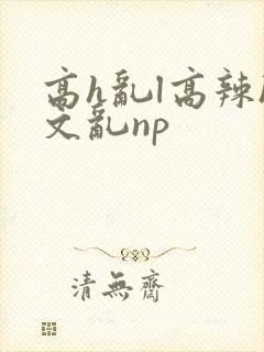 高h乱l高辣h文乱np封面