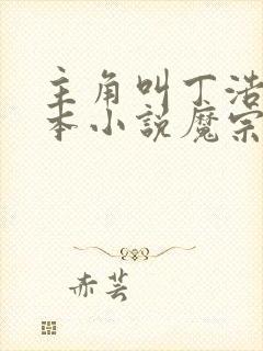 主角叫丁浩的一本小说魔宗封面