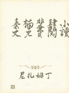 秦楠裴肆小说全文免费阅读
